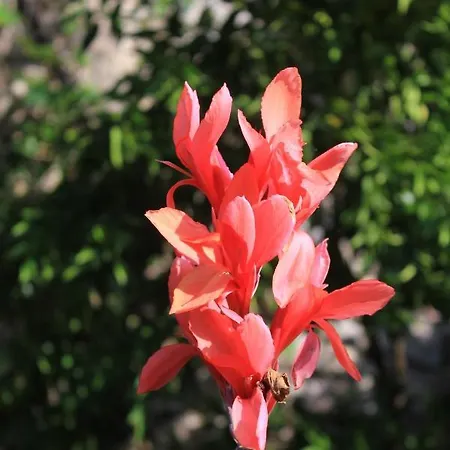 Appartement With Wifi - 8581 *