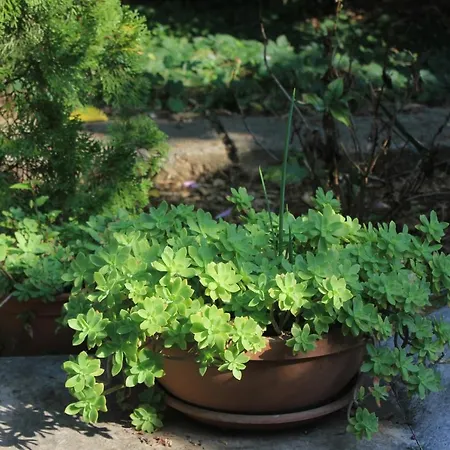 With Wifi - 8581 Lägenhet