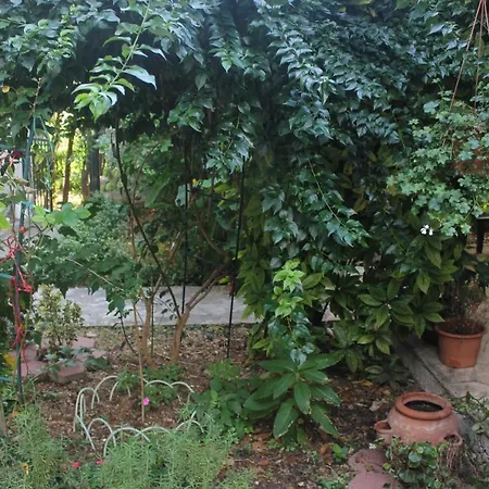 Apartment Apartments With Wifi Dubrovnik - 8581 Dubrovnik