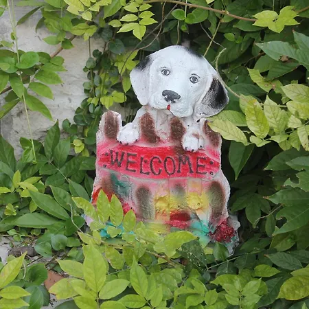 With Wifi - 8581 Dubrovnik