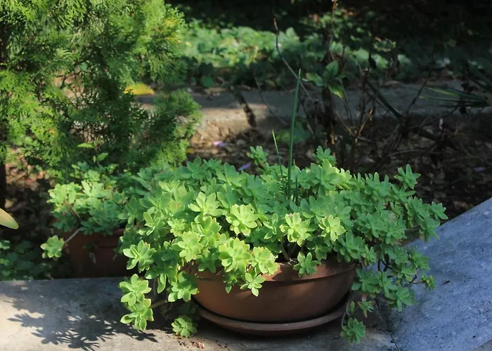 With Wifi - 8581 Διαμέρισμα