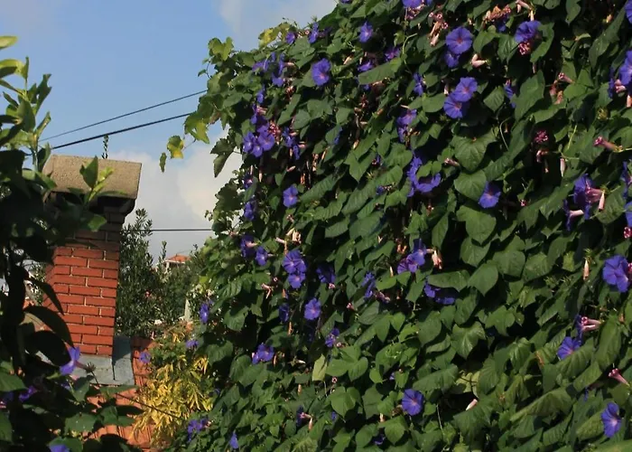 Διαμέρισμα With Wifi - 8581 *